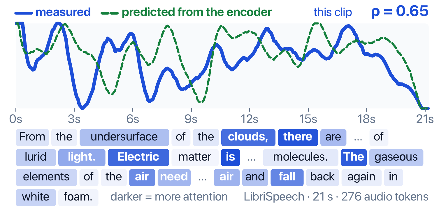 Measured per-token language-model attention and the prior's prediction over one held-out LibriSpeech clip, tracking each other; rho equals 0.65 on this clip.